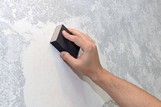  Farwell, TX Mold Removal Pros
