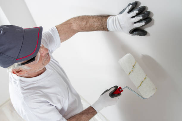 Best Attic Mold Removal  in Farwell, TX