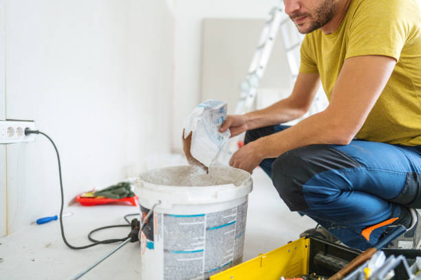 Best Biohazard Mold Removal  in Farwell, TX