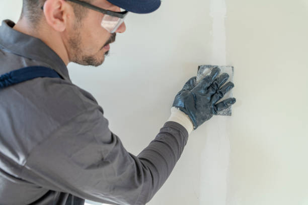 Best Emergency Mold Remediation  in Farwell, TX