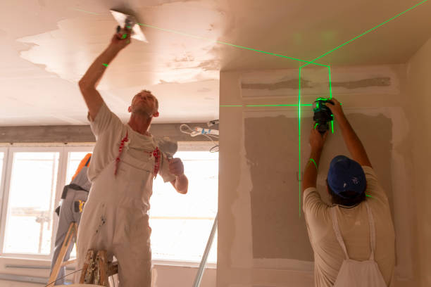 Best Mold Removal for HVAC Installations  in Farwell, TX