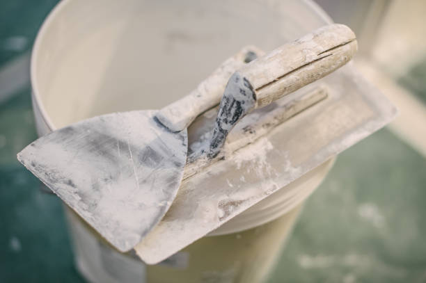 Environmental Consulting for Mold Prevention in Farwell, TX